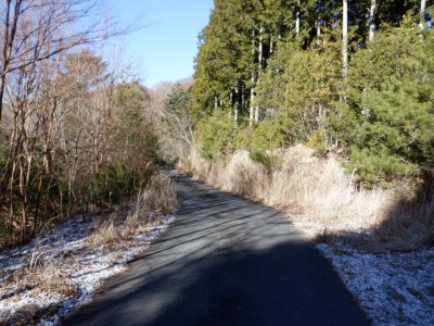 雨量計前の舗装林道