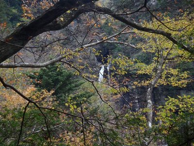 ロープ滝を巻いた尾根から見る風折滝