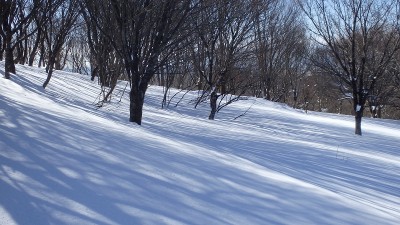 P1290437.jpg (399.63 KiB) 閲覧された回数 6418 回 光と影のページェント