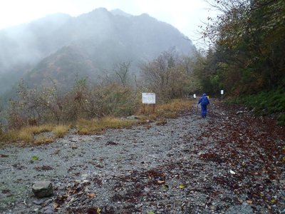 優柔不断の相手なんかしてられんわ。
