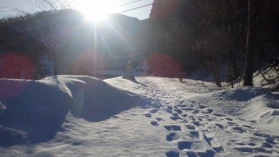 P2090453.jpg (310.59 KiB) 閲覧された回数 11273 回 朝の県道