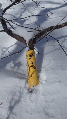 P2090475.jpg (281.9 KiB) 閲覧された回数 11272 回 大黒山の表示