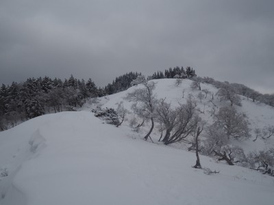 雪原.JPG