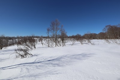 広い雪原.jpg (306.27 KiB) 閲覧された回数 12235 回 どこまでも続く雪原