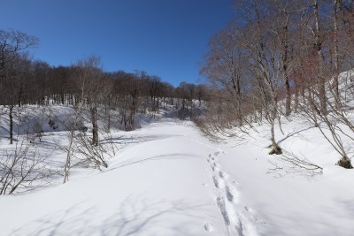 湿原付近.jpg (388.21 KiB) 閲覧された回数 12235 回 湿原には先行者のトレースのみ
