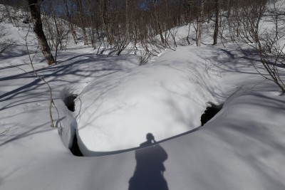 水の流れ.jpg (346.1 KiB) 閲覧された回数 11841 回 湿原にある蛇行した水の流れ
