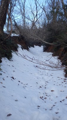 P2180516.jpg (368.79 KiB) 閲覧された回数 7472 回 堀割道