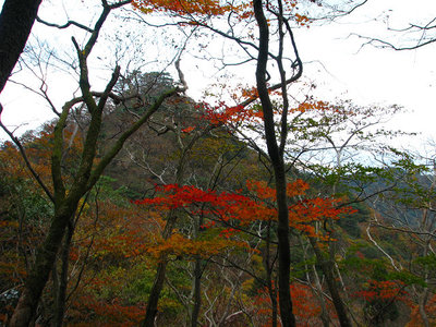 湯の峰を振り返る
