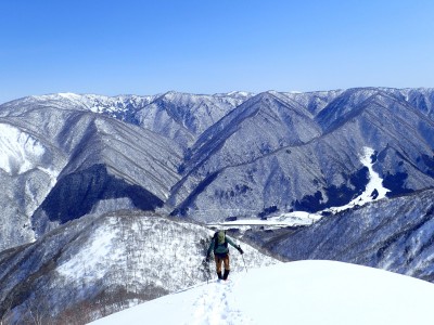 P3110064 - コピー.JPG