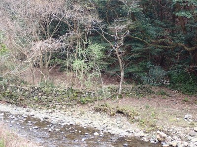 古和川の石積