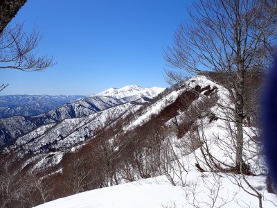 山毛欅沢岳と三岩岳大戸沢岳.jpg (580.02 KiB) 閲覧された回数 11968 回 手前が山毛欅沢岳、奥の白いのが三岩岳と大戸沢岳