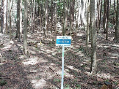 旧三嶽寺跡.jpg (476.27 KiB) 閲覧された回数 9676 回 旧三嶽寺跡
