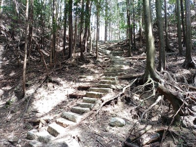 鐘突堂への石段.jpg (434.99 KiB) 閲覧された回数 9681 回 鐘突堂への石段