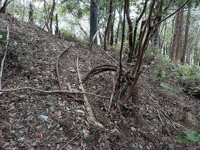 2024-03-20_11-50-35~3.jpg (320.86 KiB) 閲覧された回数 2767 回 発電設備電柱の所に索道ワイヤー