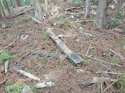 2024-03-20_10-48-01.jpg (309.29 KiB) 閲覧された回数 2767 回 製材された木材