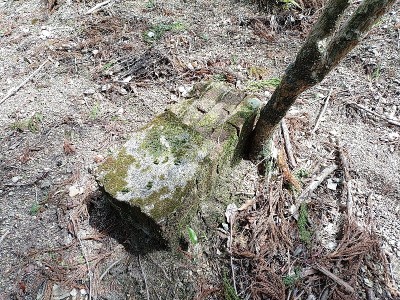 2024-03-20_11-34-01~2.jpg (317.67 KiB) 閲覧された回数 2766 回 レンガとモルタルの何か?