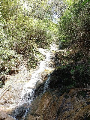 2024-05-05_09-19-51~2.jpg (294.88 KiB) 閲覧された回数 4425 回 下不動滝(矢原の滝?)
