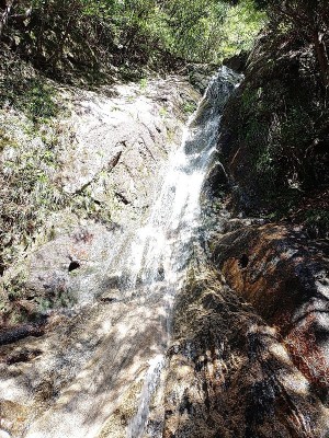 2024-05-05_09-28-10.jpg (344.33 KiB) 閲覧された回数 4425 回 上不動滝