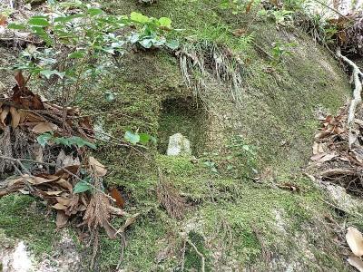 2024-05-05_09-45-55.jpg (303.03 KiB) 閲覧された回数 4425 回 可愛い石仏②