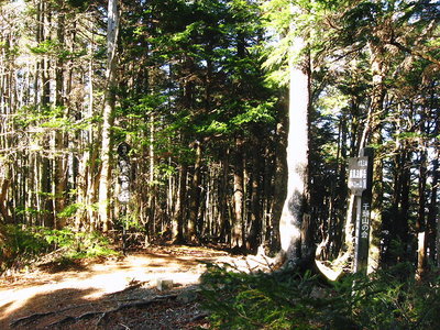● 前黒法師岳を抜けて、黒法師山に行く人もおるんやろなあ。