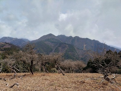仙ヶ岳東峰から南尾根コース