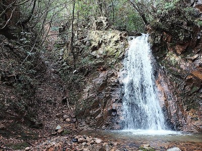御所滝の左側を降りてきます
