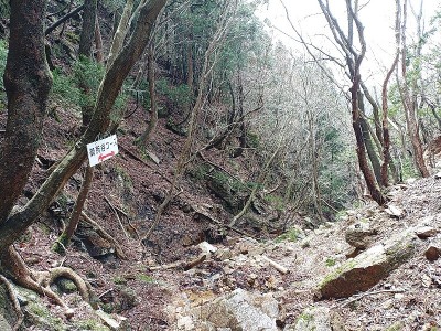 2024-04-06_11-45-31~2.jpg (286.6 KiB) 閲覧された回数 2778 回 御所谷コースの標識