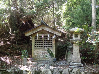 P5090012.jpg (129.86 KiB) 閲覧された回数 4635 回 大定峠 役行者の祠