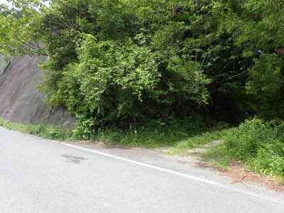 P5090015.jpg (107.89 KiB) 閲覧された回数 4635 回 七日市側登り口