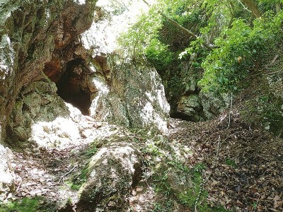 2024-05-18_10-09-43~2.jpg (286.09 KiB) 閲覧された回数 7464 回 坑道