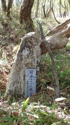 P5180328.jpg (494.09 KiB) 閲覧された回数 8060 回 緑水碑