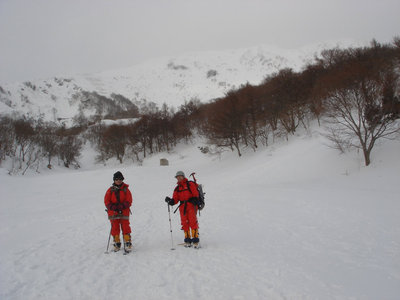 画像 036.jpg (115.74 KiB) 閲覧された回数 17068 回 伊吹山屏風の斜面をバックに