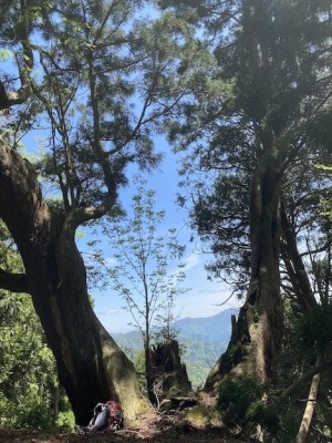 IMG_2461.jpeg (198.74 KiB) 閲覧された回数 12271 回 光砥山へ上がる尾根で