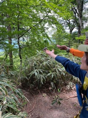 餌付けで手に乗る野鳥s.jpg (63.8 KiB) 閲覧された回数 9987 回 餌付けは楽しい
