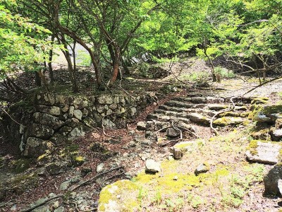 千種街道の雨乞側の階段.jpg (280.35 KiB) 閲覧された回数 4457 回 千種街道の雨乞側の階段