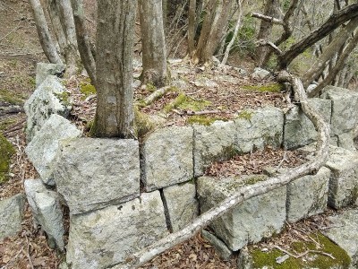 金山神社の石積では？