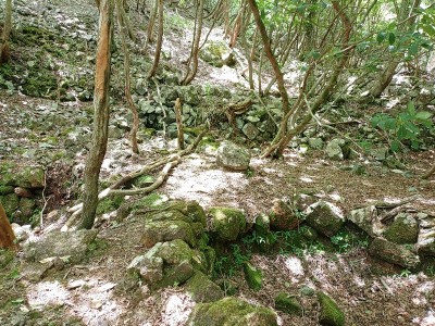 2連と1個.jpg (269.41 KiB) 閲覧された回数 4464 回 その奥に2連と1個