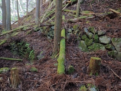 炭窯跡と小屋跡の石積