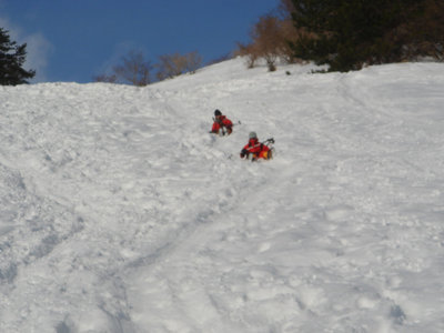 尻セードは楽し！