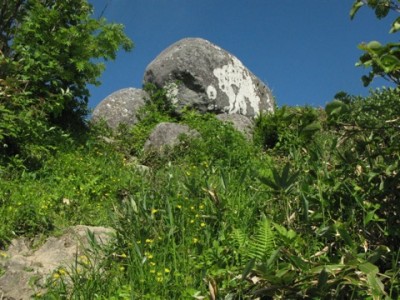 IMG_4636.jpeg (113.97 KiB) 閲覧された回数 5703 回 母御石