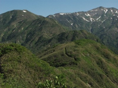 IMG_4637.jpeg (82.09 KiB) 閲覧された回数 5703 回 一ノ峰、ニノ峰、三ノ峰、別山