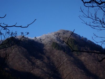 飛ぶ身体能力があればいいのだけれど。