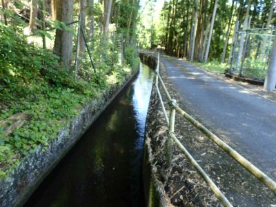 P6050047.jpg (81.84 KiB) 閲覧された回数 6076 回 用水中流部