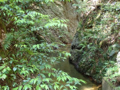 P6050053.jpg (142.55 KiB) 閲覧された回数 6079 回 きり通し