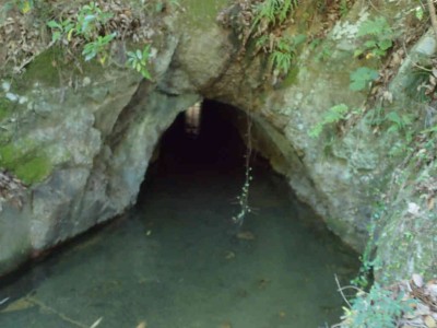 P6050070.jpg (52.27 KiB) 閲覧された回数 6078 回 素掘りのトンネル