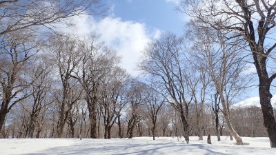 積雪期の木平湿原
