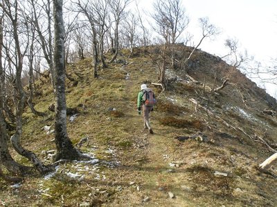 昨日の霧氷が足元に白く散らばり残っている。