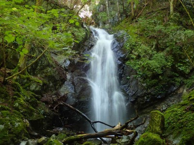 P7180027.jpg (104.4 KiB) 閲覧された回数 10356 回 8m滝