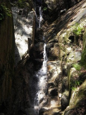 IMGP0723.JPG (83.27 KiB) 閲覧された回数 7696 回 無名谷二段滝