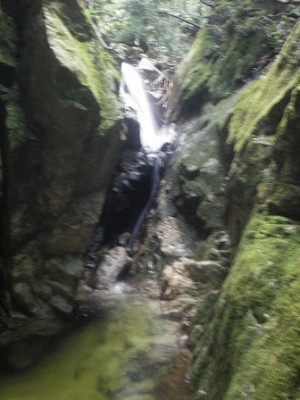 IMGP0727.JPG (69.41 KiB) 閲覧された回数 7696 回 落とし穴の滝